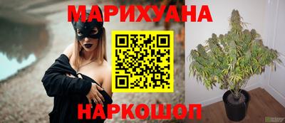 спайс Коммунар